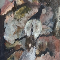Ahmed Fawzy Emara