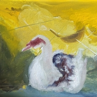 Ahmed Fawzy Emara