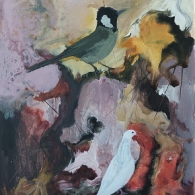 Ahmed Fawzy Emara